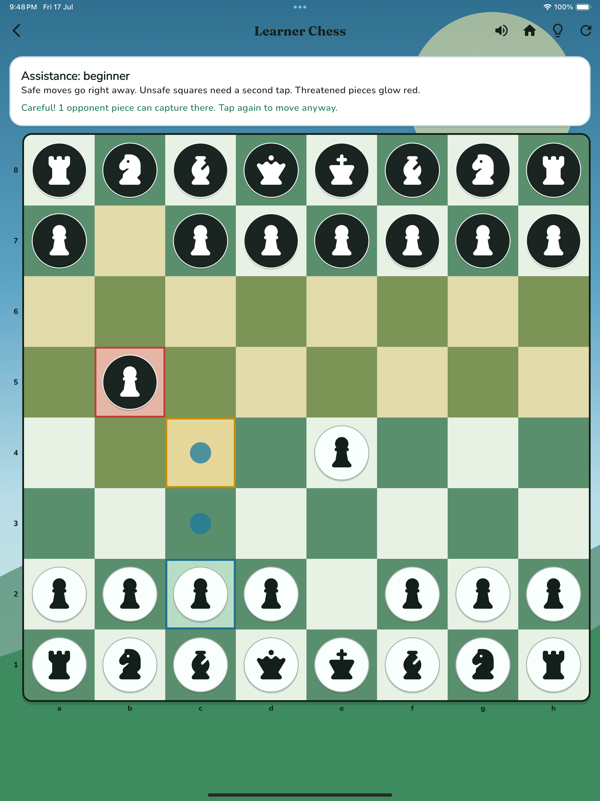 Castle Adventure Chess iPad learning mode screenshot 3